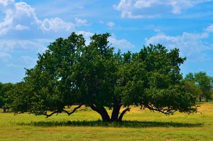 Farm Property in Mills County, Texas