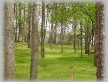 Farm Property in Iredell County, North Carolina