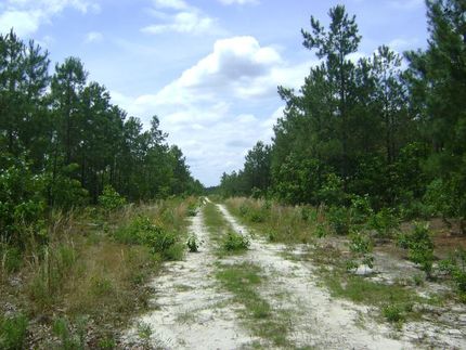 Ranch Property in Kershaw County, South Carolina