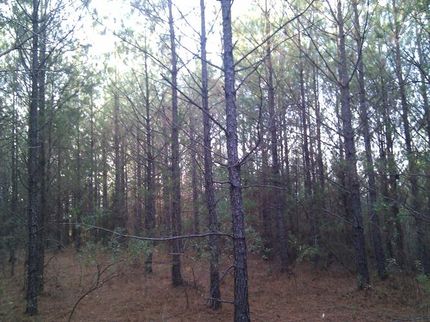 Farm Property in Walker County, Alabama
