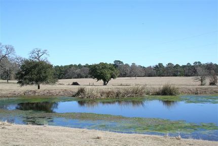 Ranch Property in Montgomery County, Texas
