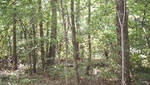 Farm Property in Rowan County, North Carolina