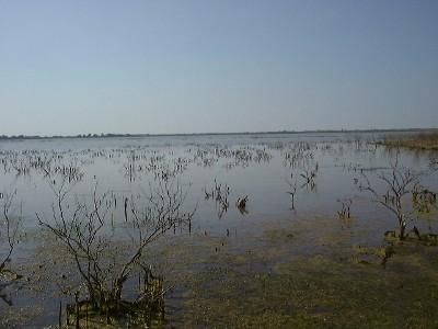 Residential Property in Haskell County, Texas