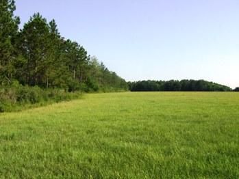 Farm Property in Clay County, Georgia