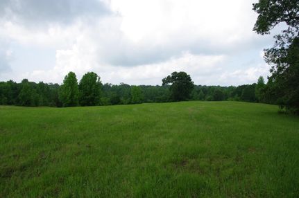 Farm Property in Shelby County, Texas