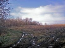 Ranch Property in Tuscola County, Michigan