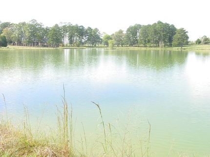 Ranch Property in Montgomery County, Alabama