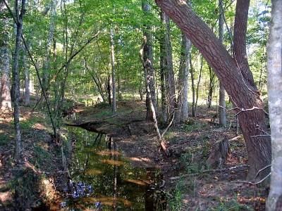 Farm Property in Greene County, Georgia