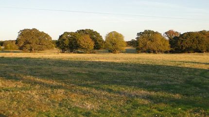 Ranch Property in Kaufman County, Texas