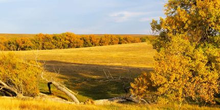 Ranch Property in Elbert County, Colorado
