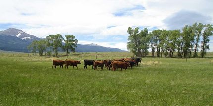 Farm Property in Custer County, Colorado