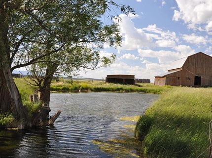 Recreational Property in Albany County, Wyoming