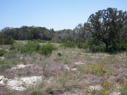 Horse Property in Medina County, Texas