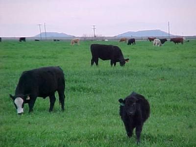 Property in Fisher County, Texas