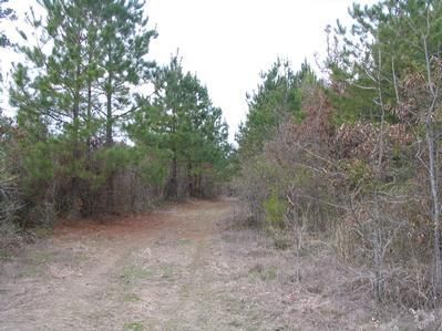 Farm Property in Clark County, Arkansas
