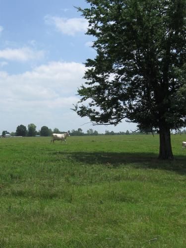 Property in Hempstead County, Arkansas