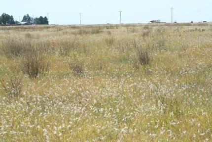Farm Property in Floyd County, Texas