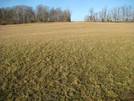 Property in Todd County, Kentucky