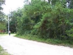 Farm Property in Putnam County, Florida