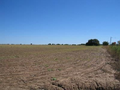 Farm Property in Haskell County, Texas