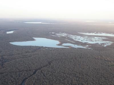 Farm Property in Avoyelles Parish, Louisiana