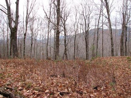 Ranch Property in Washington County, New York