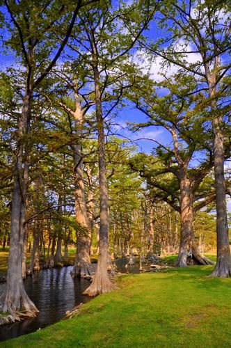 Property in Blanco County, Texas