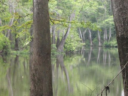 Residential Property in George County, Mississippi