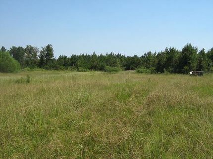 Farm Property in Jasper County, Mississippi
