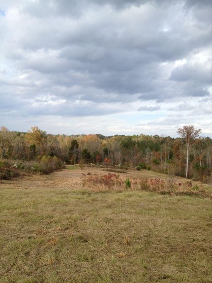 Farm Property in Jasper County, Mississippi