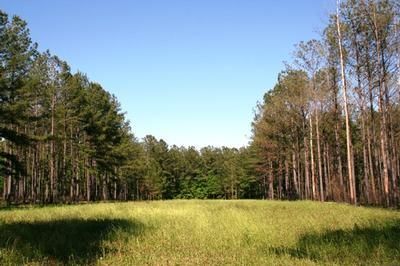 Farm Property in Grady County, Georgia