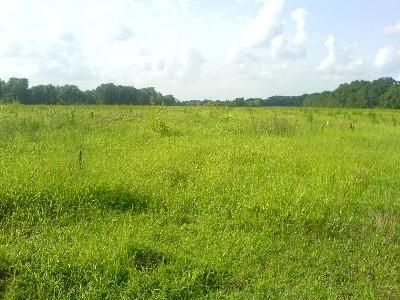 Farm Property in Avoyelles Parish, Louisiana