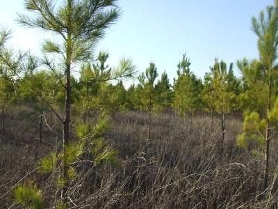 Property in Dallas County, Alabama