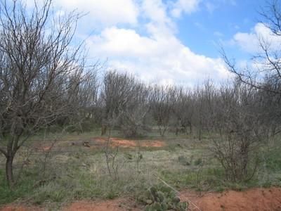 Farm Property in Haskell County, Texas