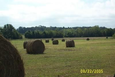 Ranch Property in Sumter County, Alabama