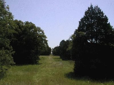 Farm Property in Fayette County, Texas