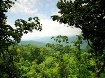 Farm Property in Grundy County, Tennessee