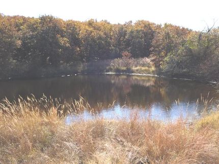 Farm Property in Jack County, Texas