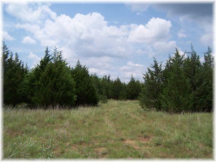Farm Property in Fannin County, Texas