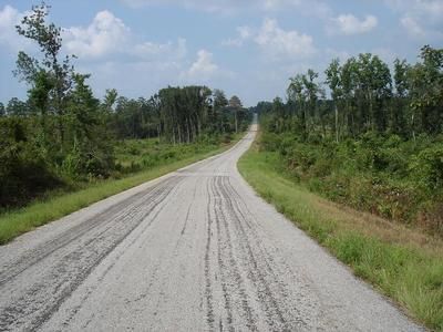 Farm Property in Conecuh County, Alabama