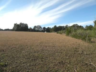 Farm Property in Austin County, Texas