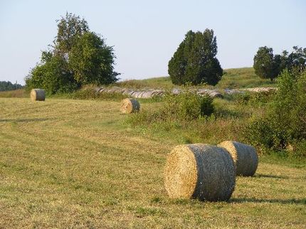 Farm Property in Jefferson County, Tennessee