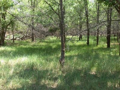 Farm Property in Hall County, Texas