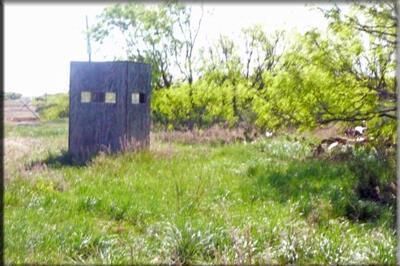 Farm Property in Nolan County, Texas