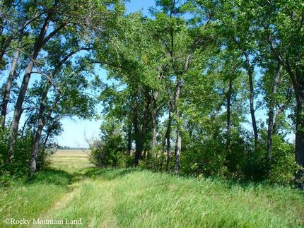 Farm Property in Grand Forks County, North Dakota