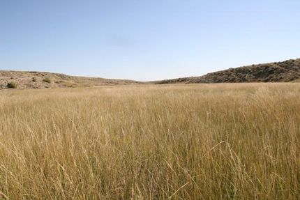 Farm Property in Natrona County, Wyoming