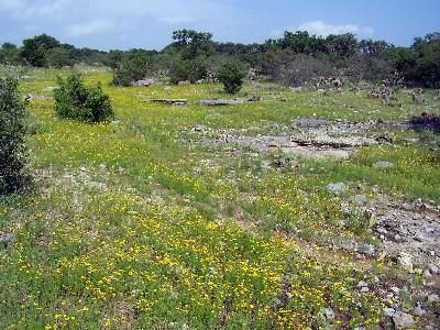 Property in Mason County, Texas