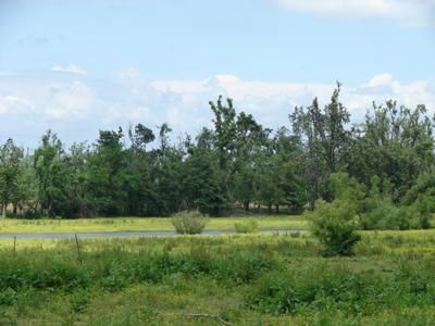 Farm Property in Graves County, Kentucky