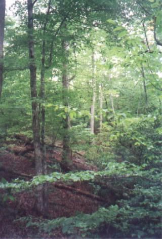 Property in Cherokee County, South Carolina