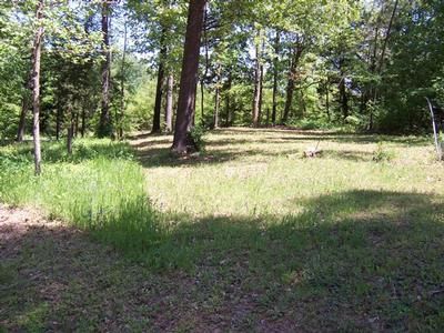 Property in Titus County, Texas